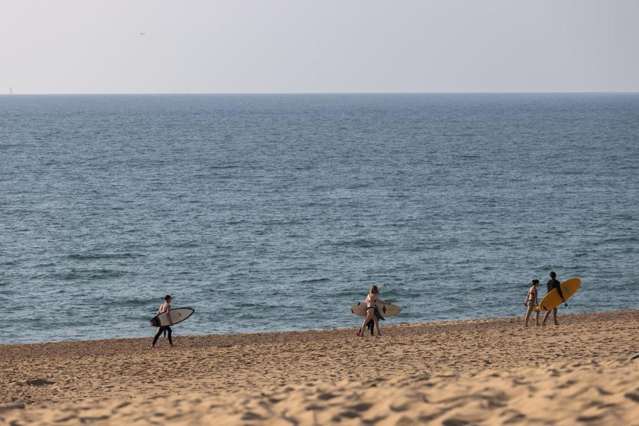 Village Vacances La Foret Des Landes Tarnos Buitenkant foto