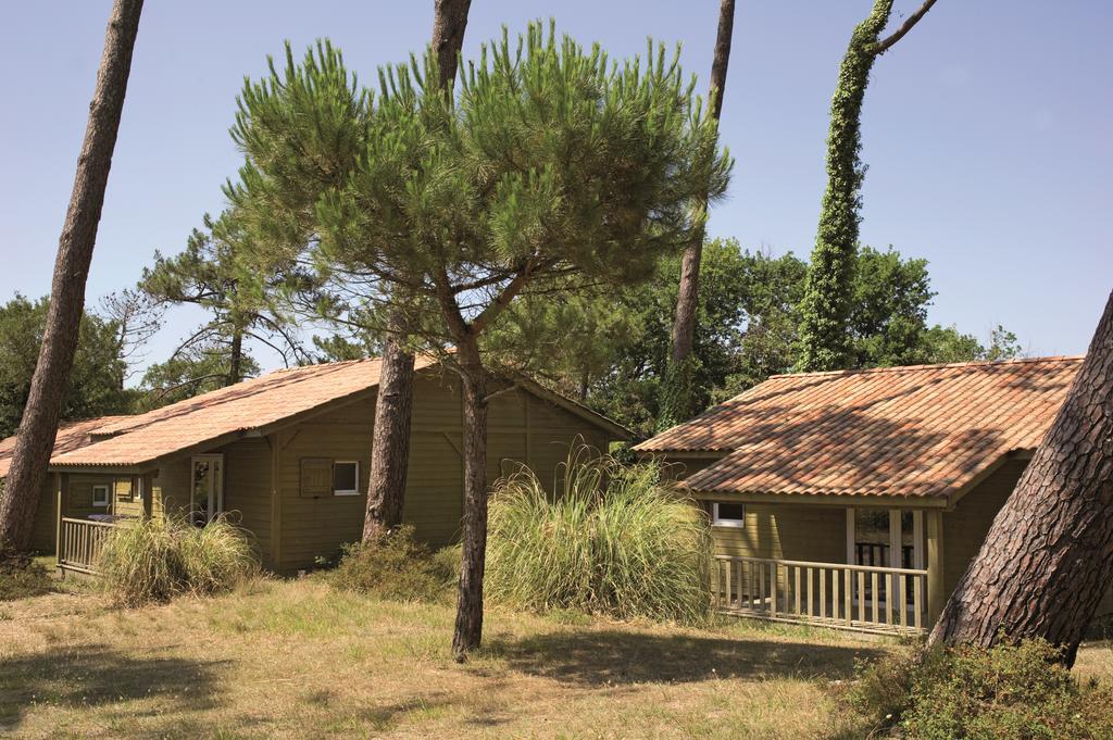 Village Vacances La Foret Des Landes Tarnos Buitenkant foto