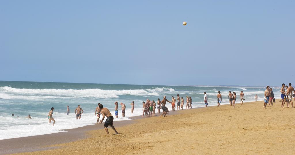Village Vacances La Foret Des Landes Tarnos Buitenkant foto
